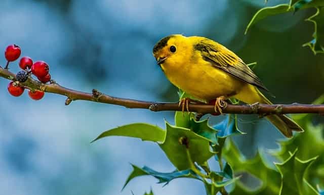 唐山虚拟传销都包括什么呢？危害有多大呢？