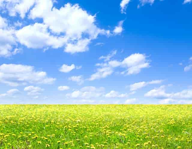 大学国际学院是什么学校