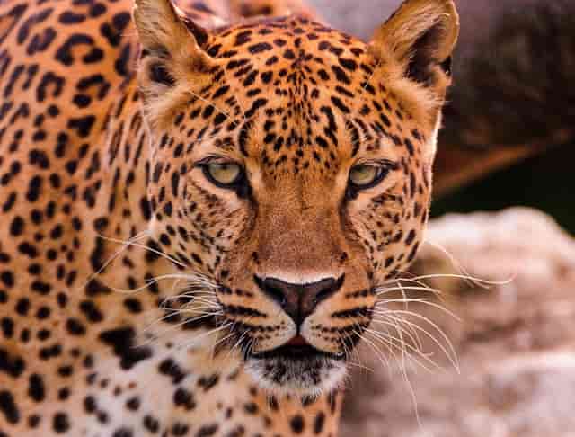 大学毕业生工资收入