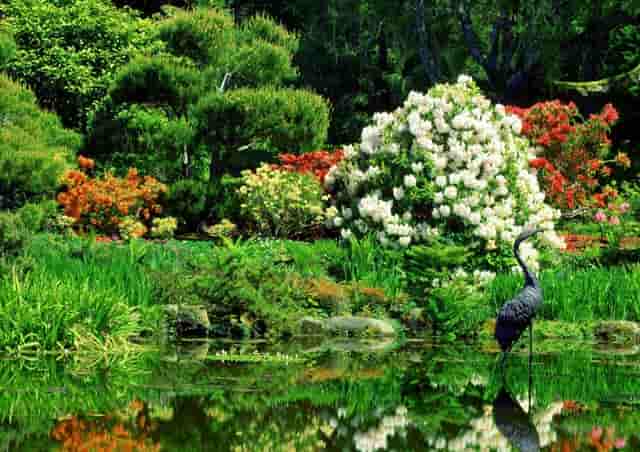 杏仁优护：食道炎和急性胃肠炎怎么紧急处理？