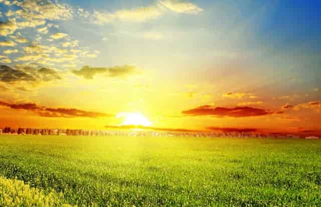 袖虎病猫攻略：小心换粮会软便！