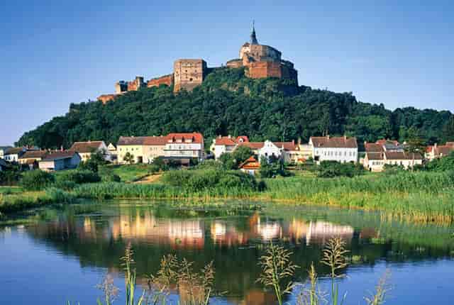 袖虎病猫攻略：猫咪发情会持续多久？