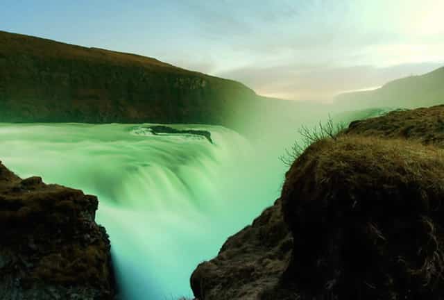 袖虎宠物解答：食品添加剂于猫咪而言都是垃圾吗？