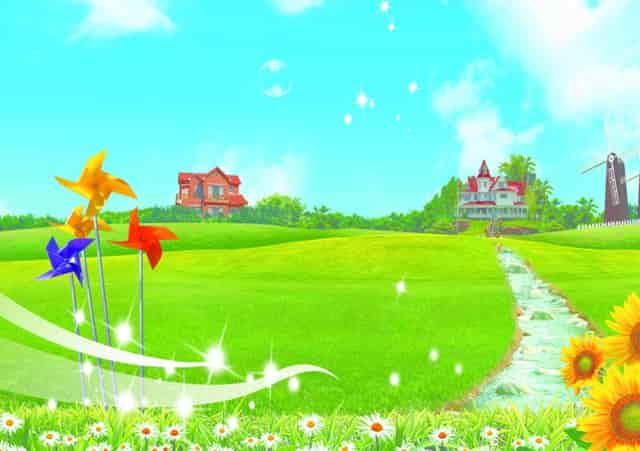 猫咪一天吃几顿合适？袖虎宠物店靠谱地告诉你