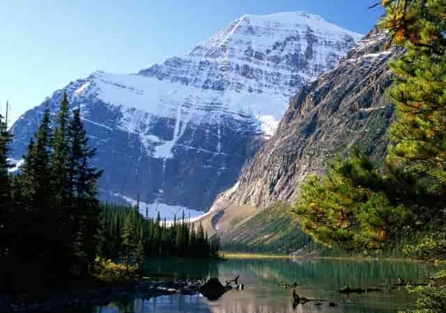 锡林郭勒盟 第一起全链条打击的电信诈骗案件，抓了二十人，判了二十人