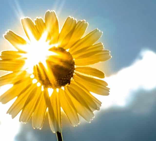 西安传销有网络传销吗？都怎么骗人呢？