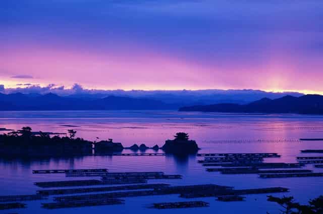 如何进行反传销？这些方法要知道！