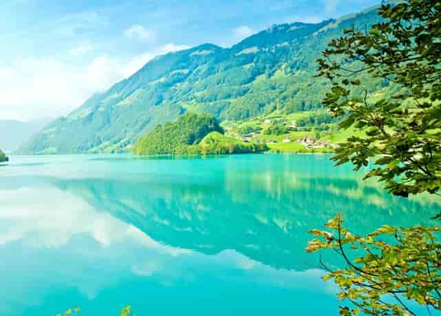 2020年 WhatsApp通话量增长超过50%