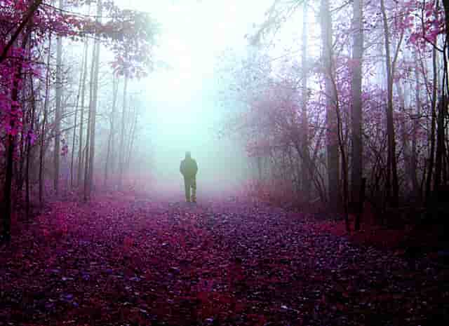 HECT澳洲瀚德移民： 给想去澳洲留学的普通家庭同学一点点建议