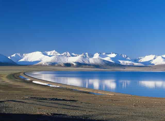 袖虎病猫攻略： 猫应激是怎么回事