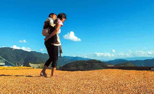 蔡嘉珍獲得註冊理財規劃師專業稱銜，秉持職業操守與執業準則，開啟財務規劃新征程