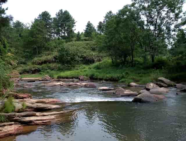 银行和法院起诉后