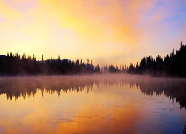 袖虎如此解读猫咪小肚腩的秘密