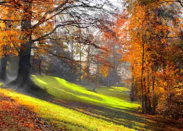 为什么大盘涨了就不跌