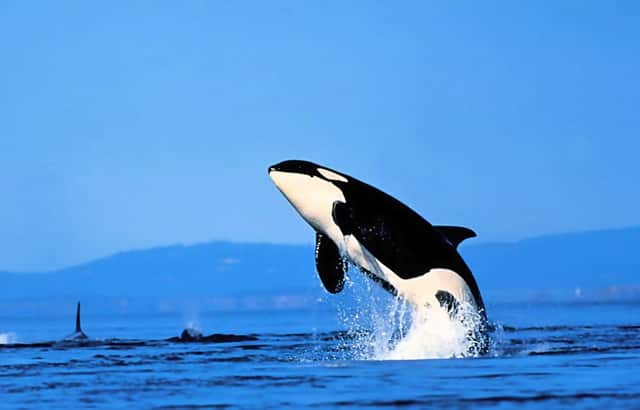 德尔塔变异株症状有哪些