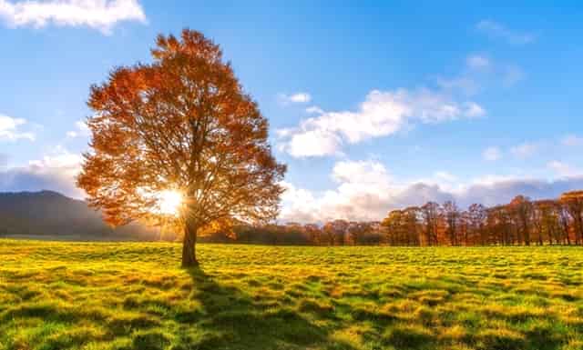 幼儿教师最不喜欢的孩子