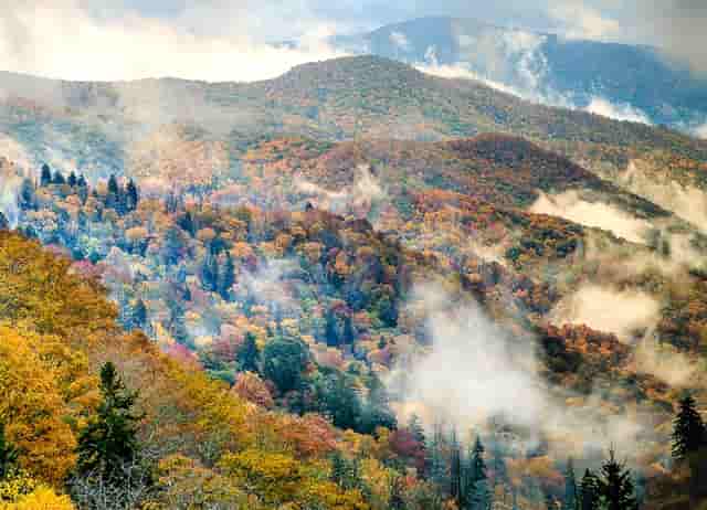 银行和法院起诉后