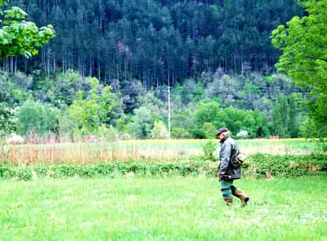 接种第二针疫苗发热