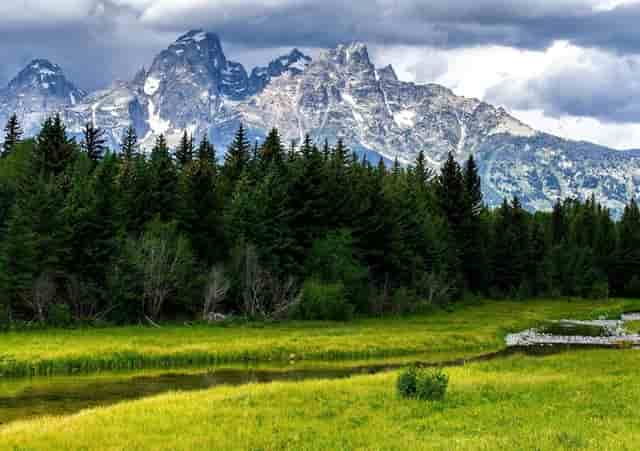 市场公平性何在“明目张胆直播”谁在随意切换天地板