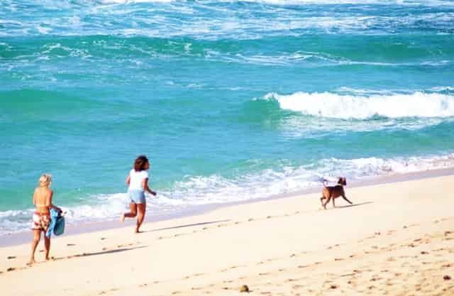 有房产证的产权可以转让吗(没有房产证的房子可以转让产权吗)