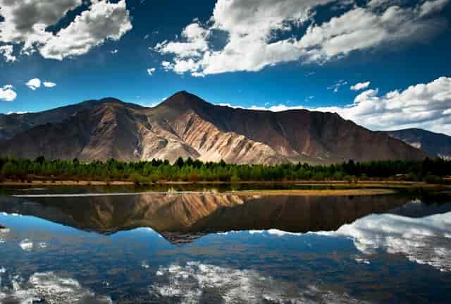 老汉拜访邻居视频(幼儿拜访邻居视频)