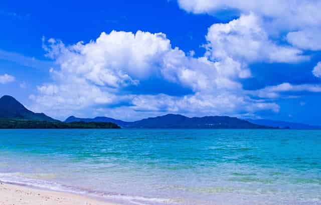 老公有事不让我离婚