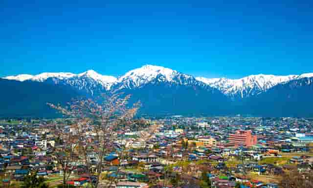 创业当老板，你必须知道的四个坑，袖虎带你避过！