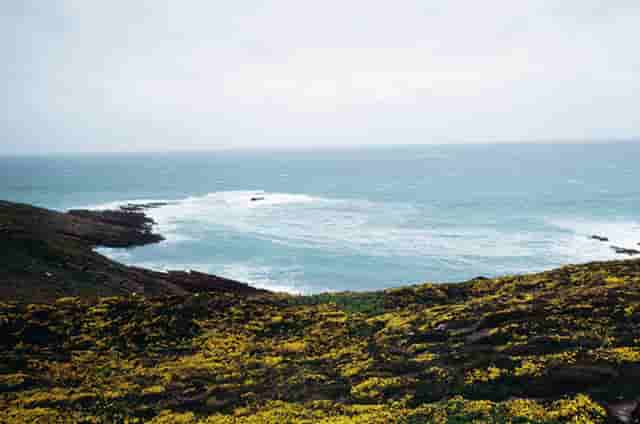 他的意中人txt百度云(意中人txt百度网盘)