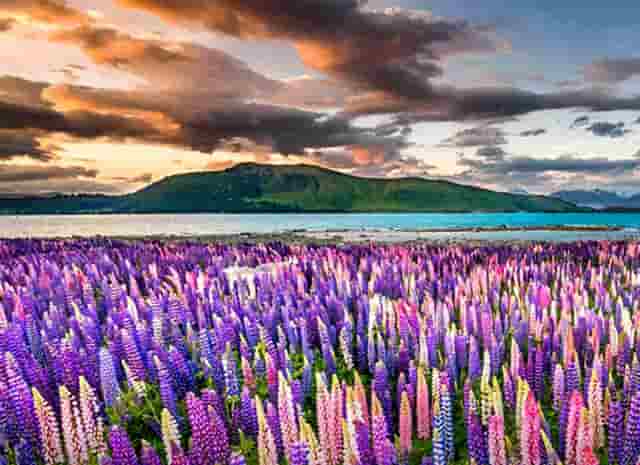 脾少量腹水(肝硬化,脾稍大,少量腹水)