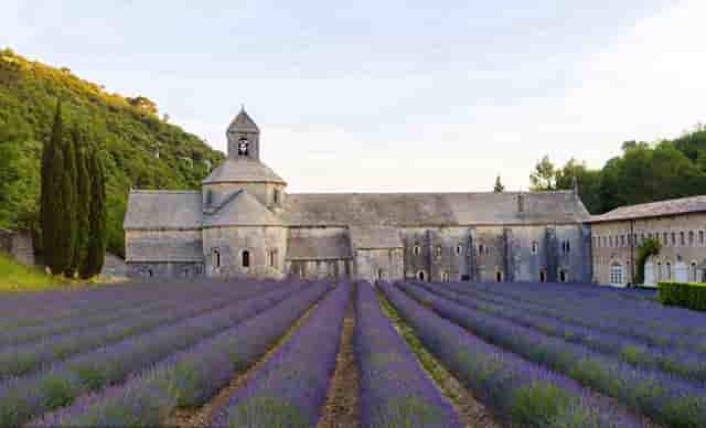 比亚迪上半年新车销量首进全球前十