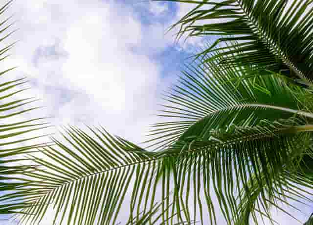 天津火车站附近哪里酒店最便宜(火车站附近哪里酒店有水疗)