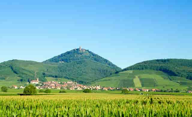 东京奥运会乒乓球男团女团(东京奥运会乒乓球男团女团名单)