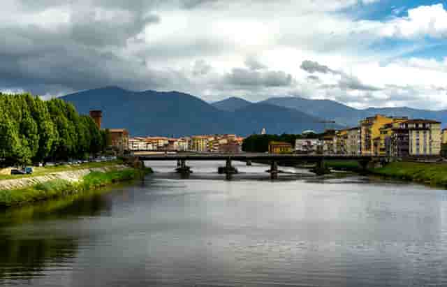 的的大股东(MIH大股东)