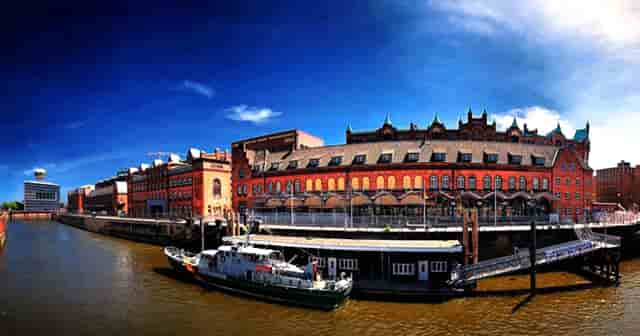 袖虎病狗攻略：可能不是所有人都知道，狗狗也有大姨妈