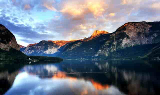 袖虎病猫攻略：猫老打喷嚏？注意这个关键元素