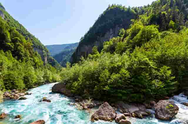 蔡嘉珍成功獲得註冊理財規劃師資格