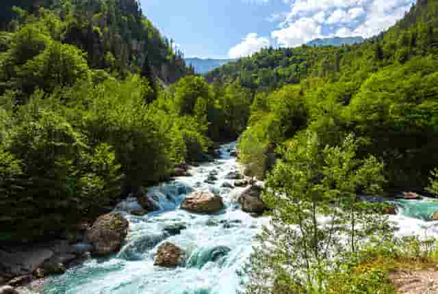 许昕乒乓球价格(乒乓球比赛视频许昕)