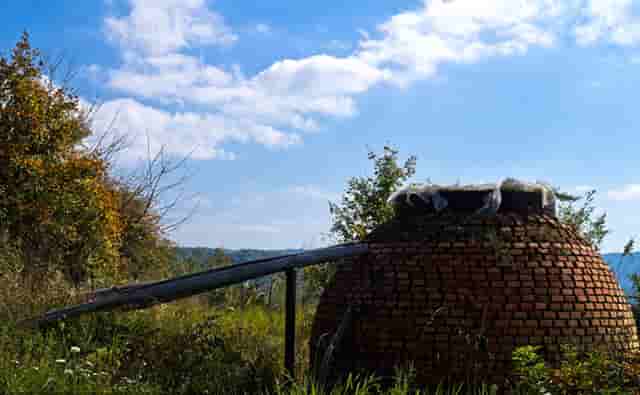 袖虎病猫攻略：猫咪烫伤处理