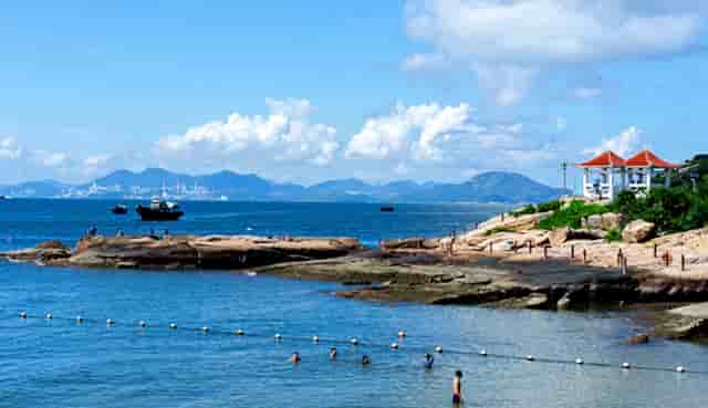 袖虎病猫攻略：猫咪指甲崩飞了怎么办