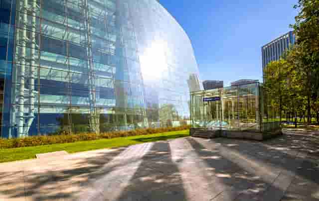 袖虎病狗攻略：狗狗身上有跳蚤怎么办