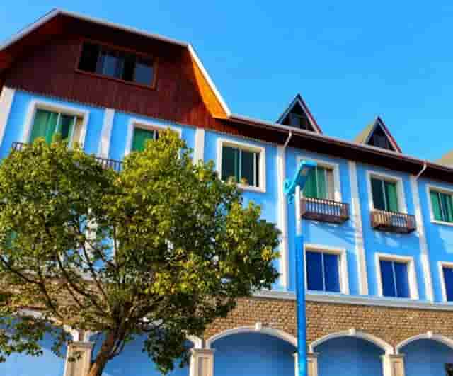 袖虎病狗攻略：据说是不治之症的狂犬病，狗狗感染有什么症状