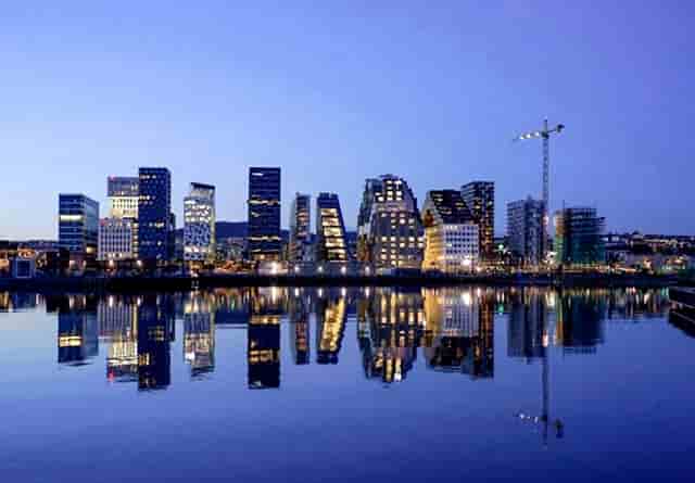 袖虎病猫攻略 ：猫咪挠人的原因之一，脚垫