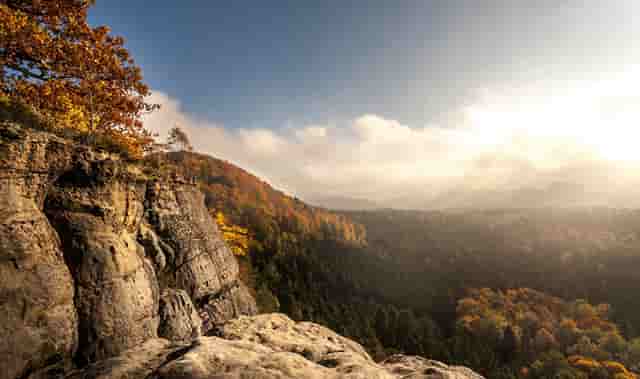 地瓜在聊天中有什么含义吗