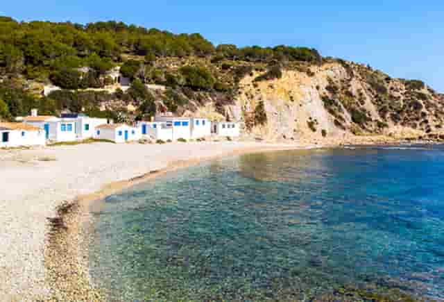 袖虎宠物提醒不要给猫咪喂垃圾食品！这些食物才利于发育！