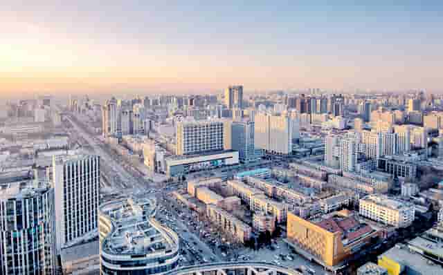 袖虎病狗攻略：狗的几种常见皮肤病，你都知道吗？